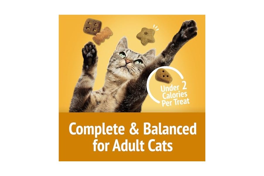 Premios para gatos Purina Friskies, mezcla para fiestas Cheezy Craze Crunch - Bolsa de 590 g - Image 7
