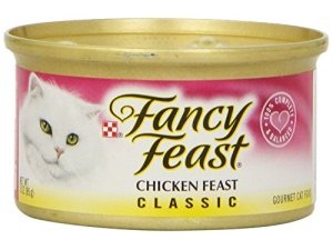 Fancy Fiesta Gourmet Pollo Fiesta Cat Alimentos 3 onzas, 1 lata