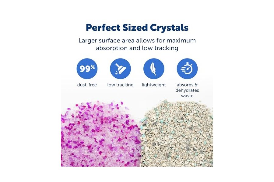 Arena para gatos de cristal premium PetSafe ScoopFree: superior a la arena de arcilla; reduce el polvo y las huellas, dejando un hogar fresco; no se aglomera; dos bolsas de arena de 2 kg (3 kg en total) - Lavanda - Image 3