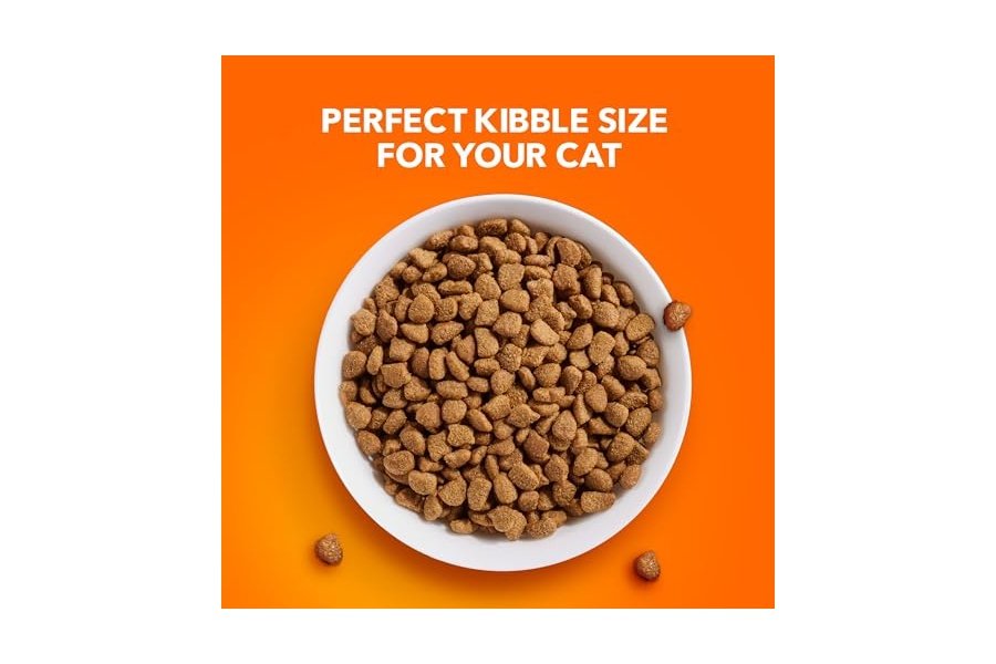 Alimento seco para gatos IAMS Proactive Health Adult Indoor Weight & Hairball Care con salmón, bolsa de 7 lb - Image 11