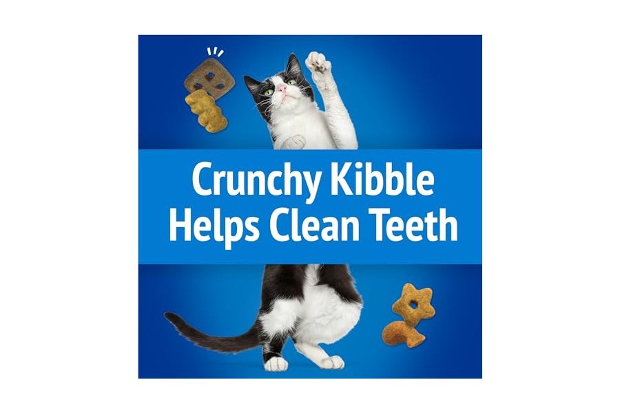 Premios para gatos Purina Friskies, mezcla para fiestas Beachside Crunch - Bolsa de 894 g - Image 4