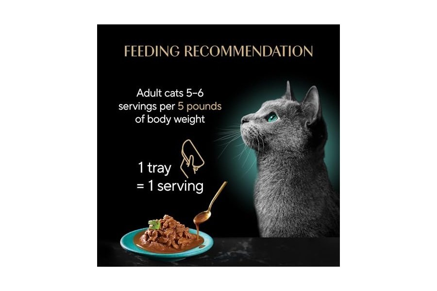 Comida húmeda para gatos adultos Sheba Gravy Indulgence, entrada de carne de res con salsa extra, bandejas dobles de 77 g (24 unidades, 48 ​​porciones) - Image 8