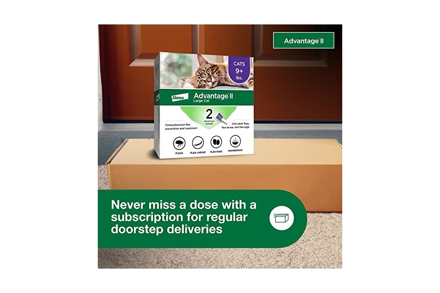 Advantage II Tratamiento y prevención antipulgas recomendado por veterinarios para gatos grandes | Gatos de más de 4 kg | Suministro para 2 meses - Image 7