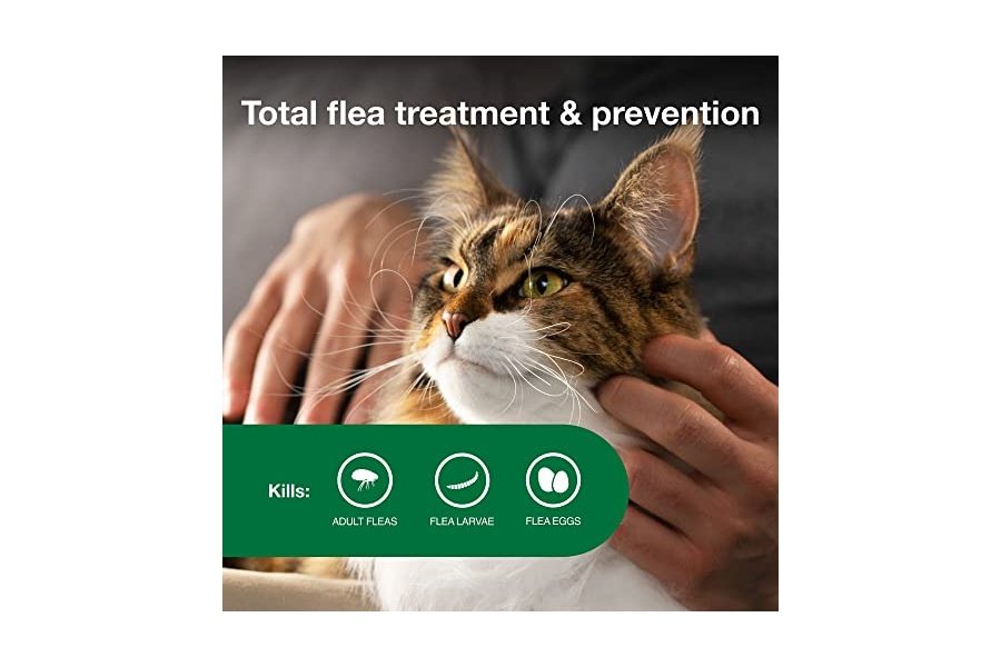 Advantage II Tratamiento y prevención antipulgas recomendado por veterinarios para gatos grandes | Gatos de más de 4 kg | Suministro para 6 meses - Image 3