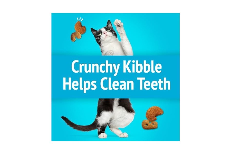 Premios para gatos Purina Friskies, mezcla para fiestas con sabores de langosta y macarrones con queso - (Paquete de 6) Bolsas de 170 g - Image 6