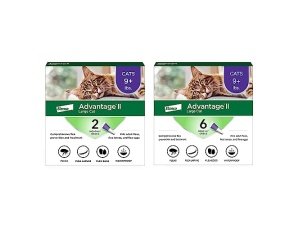 Advantage II Tratamiento y prevención antipulgas recomendado por veterinarios para gatos grandes | Gatos de más de 4 kg | Suministro para 8 meses
