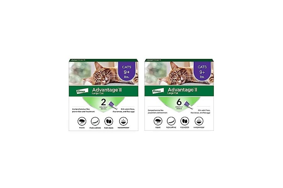 Advantage II Tratamiento y prevención antipulgas recomendado por veterinarios para gatos grandes | Gatos de más de 4 kg | Suministro para 8 meses