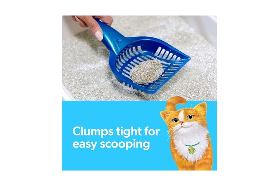 Arena aglomerante para gatos Fresh Step con aroma Febreze Gain, control de olores duradero, carbón activado, fórmula de bajo polvo, 14 lb - Image 11