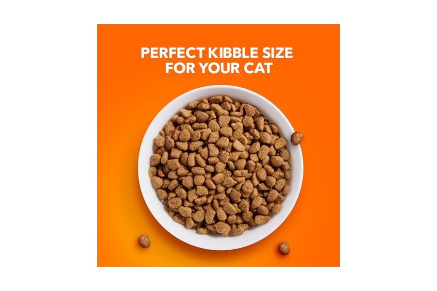 Alimento seco para gatos adultos IAMS Proactive Health con pollo y pavo, control de peso en interiores y cuidado de bolas de pelo, bolsa de 22 lb - Image 9