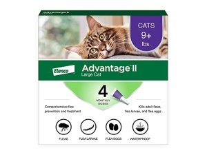 Advantage II Tratamiento y prevención antipulgas recomendado por veterinarios para gatos grandes | Gatos de más de 4 kg | Suministro para 4 meses