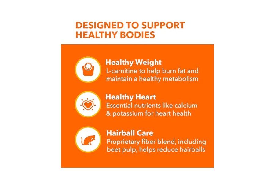 Alimento seco para gatos adultos IAMS Proactive Health con pollo y pavo, control de peso en interiores y cuidado de bolas de pelo, bolsa de 22 lb - Image 4